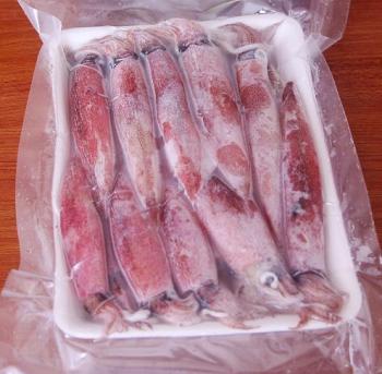 Mực trứng loại A - size 9-12cm