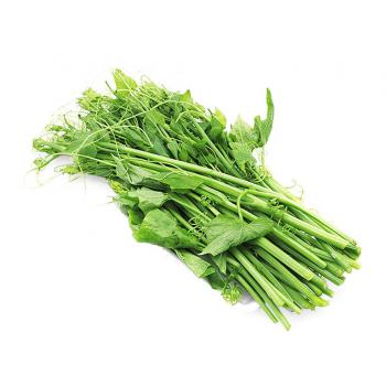 Rau su su Tam Đảo