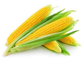 Ngô ngọt (bắp vàng)