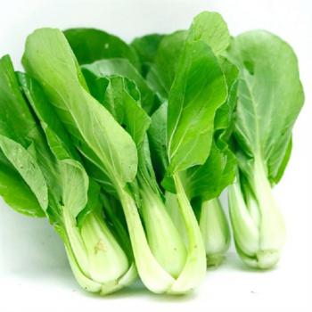 Rau cải chíp (cải thìa)