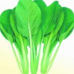Rau cải canh