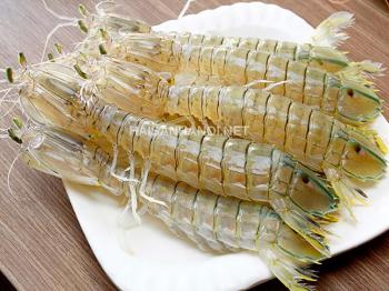 Bề bề (tôm tít) tươi loại 1 size 15-18 con/kg